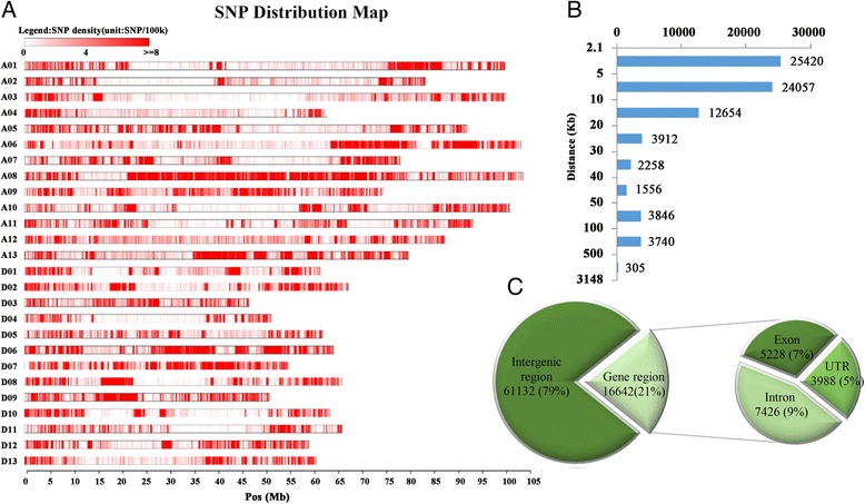 High-density 80 K SNP array is a powerful tool for genotyping G. hirsutum accessions and genome analysis. 